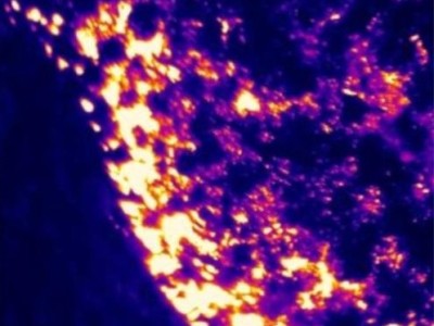 What Are the Early Warning Applications of Infrared Thermal Imaging Technology in Forest Fire Prevention?